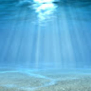 Meet your Posher, Joey